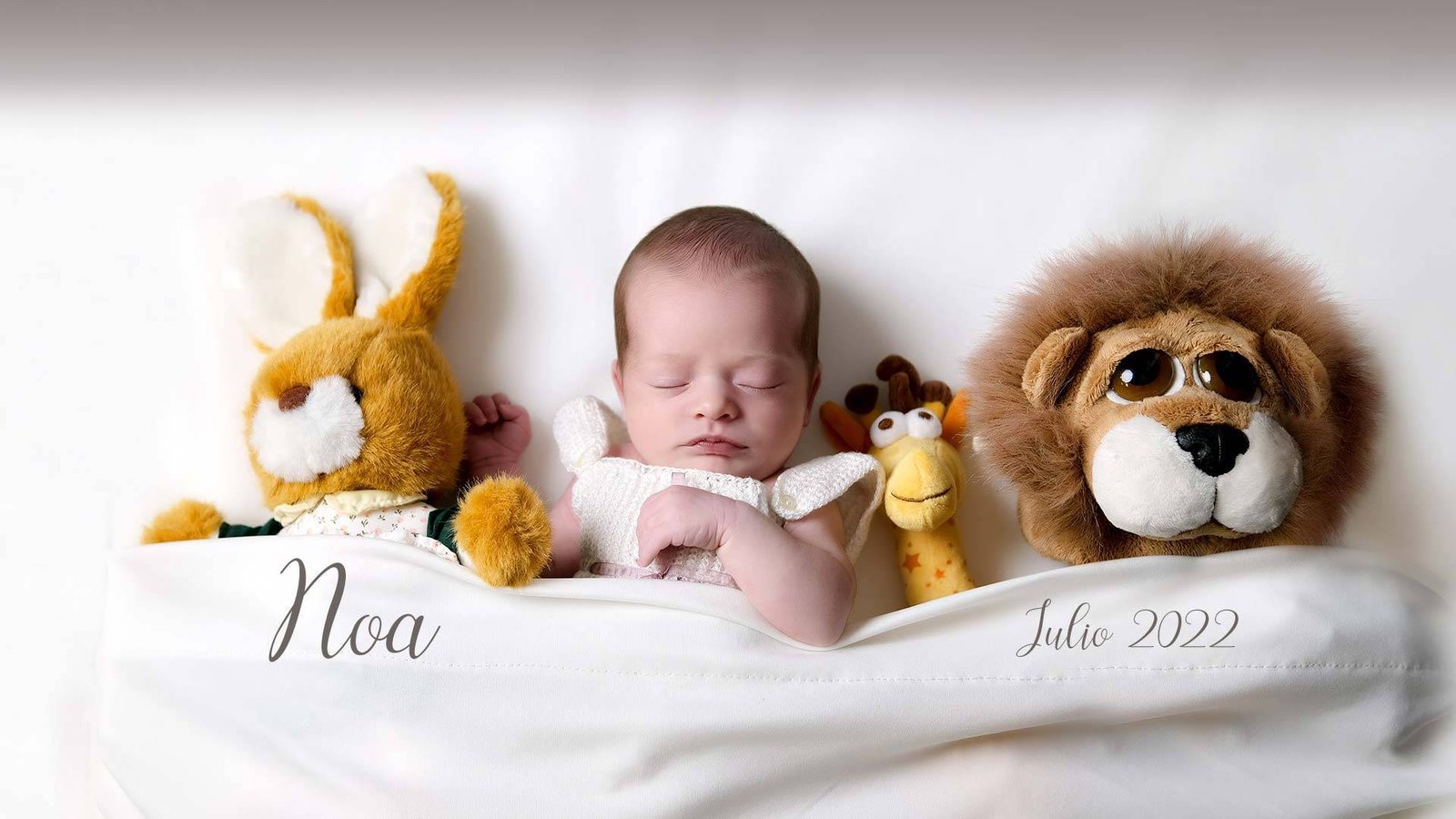 Foto Newborn de Noa realizada por DS Photo en 2022. Foto Newborn de Noa